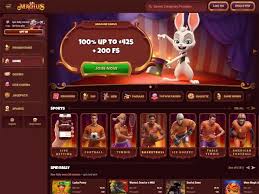 Magius Casino Review & Knowledge 2026